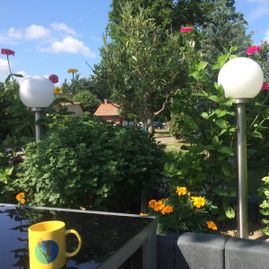 der Biergarten des Lindenhof Liepgarten