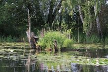 Urlaubstipps