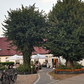 Biergarten im Lindenhof
